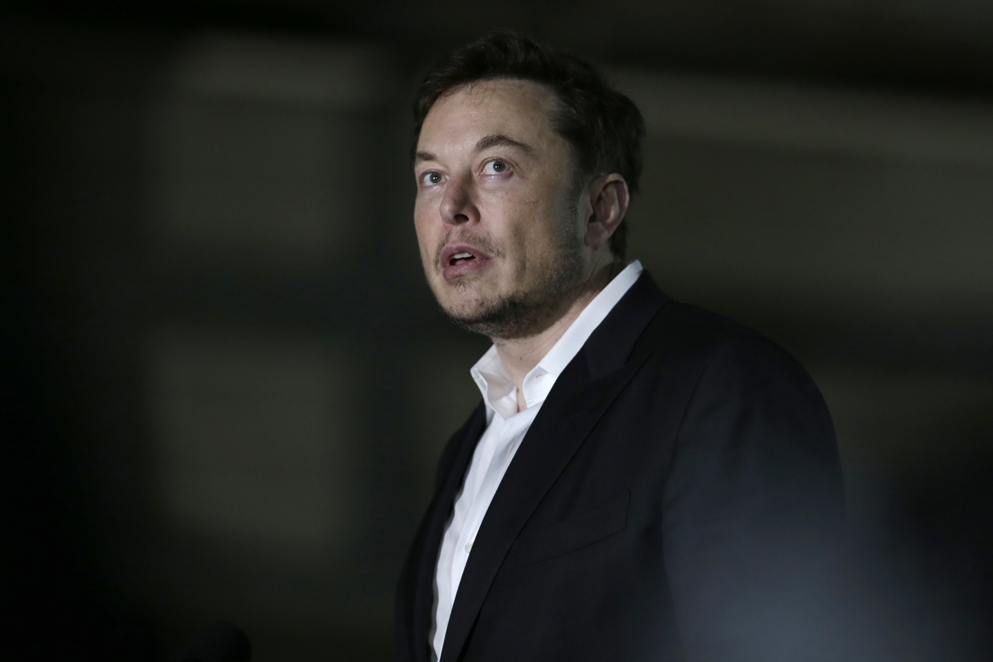 elon musk tesla stock